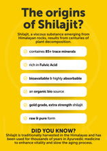 Load image into Gallery viewer, Shilajit Capsules
