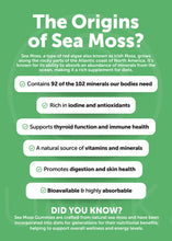 Load image into Gallery viewer, Irish Sea Moss Capsules - US Made
