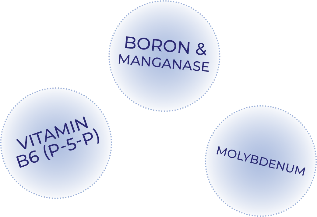 Vitamin B6, boron, manganese, and molybdenum cofactors